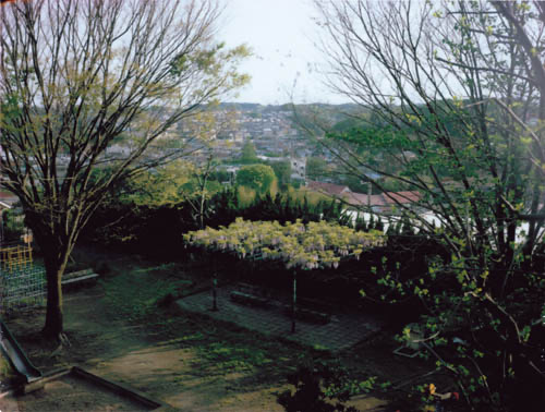 CCI20100430 00000.jpg